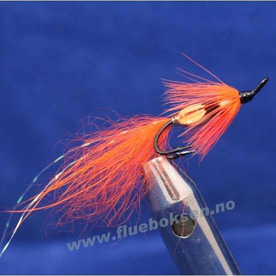 Alleys Shrimp, dobbelkrok Unique Alleys Shrimp, dobbelkrok Unique