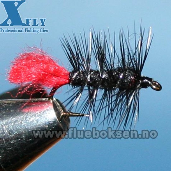 Zulu (våt), xfly Zulu (våt), xfly