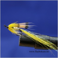 Ally's shrimp, Gul Ally's shrimp, Gul