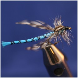 Damsel Blue Damsel Blue