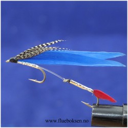 Blue Terror, tandem Blue Terror, tandem