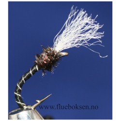 Buzzer, Black (fortynget) Buzzer, Black (fortynget)