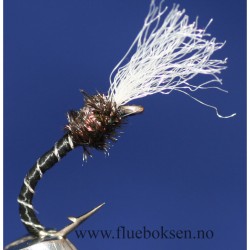 Buzzer, Black (fortynget)