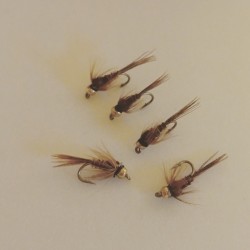 Goldhead, Pheasant tail Goldhead, Pheasant tail
