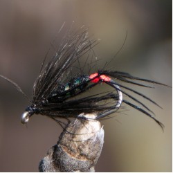 Hopper Black Hopper Black