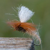 Klinkhammer Hares ear