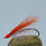 Pain Orange, Sjøørret