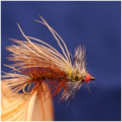 Stimulator Olive Stimulator Olive