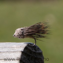 Streaking Caddis Streaking Caddis