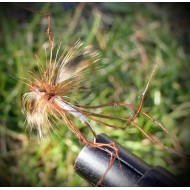 Daddy longlegs(hvit)