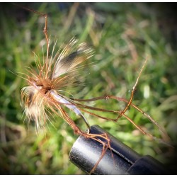 Daddy longlegs(hvit)