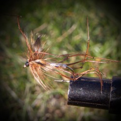 Daddy longlegs(hvit)