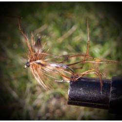 Daddy longlegs(hvit)