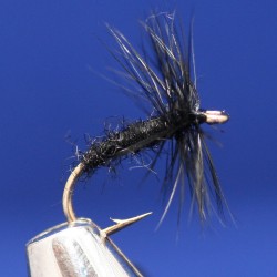 Black Spider, dry Black Spider, dry