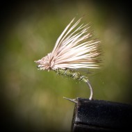 Elk Hair Emerger Olive