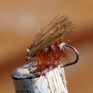 Elk Hair Caddis