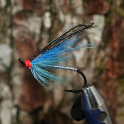 Flashy Blue Sea Trout