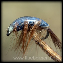 Czech, Gamnos shrimp Czech, Gamnos shrimp