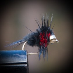 Montana Red GH Montana Red GH