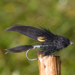 Jungle Cock Muddler  Jungle Cock Muddler