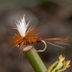 Parachute Pheasant Tail Parachute Pheasant Tail