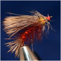 Stimulator Orange Stimulator Orange