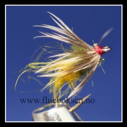 Caddis Nymfe, fortynget