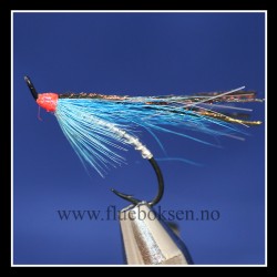 Flashy Blue Sea Trout