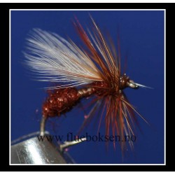 Flygemaur, brun Flygemaur, brun