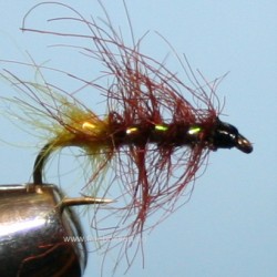 Puppa - brun yellow tag