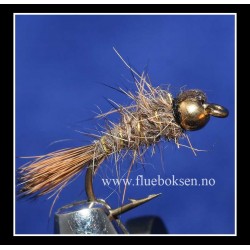 Goldhead, Hares ear Goldhead, Hares ear