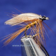 Wickhams fancy, våt