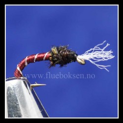 Buzzer Claret, nymfe