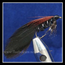 Ace of Spades Ace of Spades