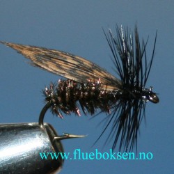 Alder Alder