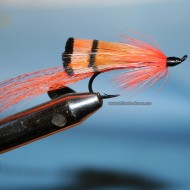 Ally's Shrimp, enkel krok