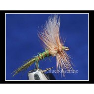 Døgnflue, Grønn (Ephermella Aurivilli)