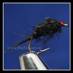 Biot Stonefly Black, nymfe