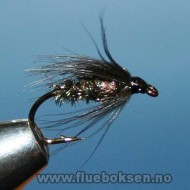 Black & Peacock Spider