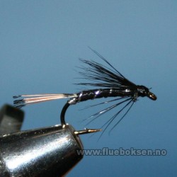 Black Pennel Black Pennel