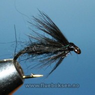Black Spider (våt)