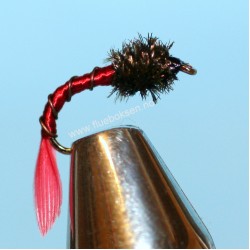Bloodworm Bloodworm