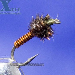 Brassie Copper, xfly Brassie Copper, xfly