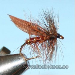 Brown Sedge, Winged Brown Sedge, Winged