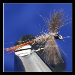 CDC Hares Ear CDC Hares Ear