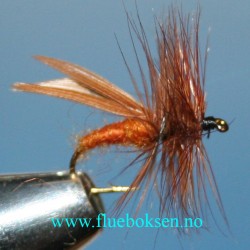 Cinnamon Sedge Cinnamon Sedge