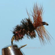 Cock-Y-Bundhu, Unique