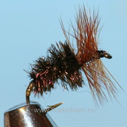 Cock-Y-Bundhu, Unique Cock-Y-Bundhu, Unique