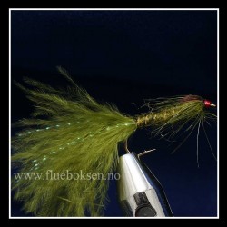 Damsel Marabou, WTD Damsel Marabou, WTD