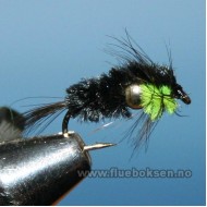 Goldhead, Montana Lime